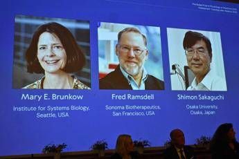 nobel per la medicina a brunkow ramsdell e sakaguchi hanno scoperto la security del sistema immunitario 2