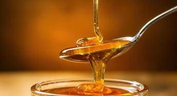non solo dolcezza nel miele di acacia i microrna che parlano al sistema immunitario 2