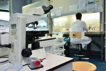 alzheimer ecco le cellule che possono pulire il cervello lo studio 2