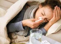 influenza k da origine a impatto su vaccini tutto quello che ce da sapere 2