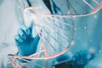 medicina di precisione a roma convegno su sfide e opportunita 2