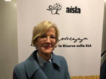 mezzaroma ss lazio con aisla per abbattere le barriere e tifare allo stadio 2