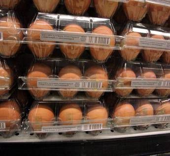 quanti errori in cucina dal frigo alligiene il decalogo delliss per pasti sicuri 2