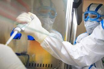 ricerca aiom in italia 57 studi indipendenti in 15 anni 2