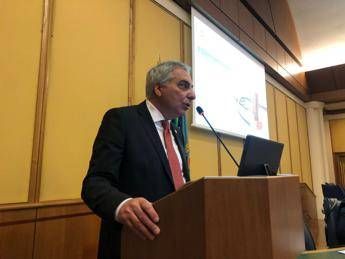 schiavetti regioni svolgono ruolo di organizzazione e gestione 2