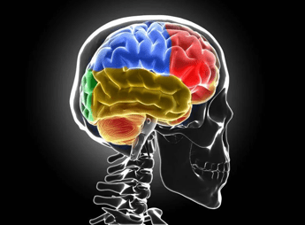 sclerosi multipla bandiera aism caregiver fondamentali ma ancora invisibili 2