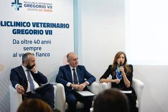 universita roma tor vergata e policlinico veterinario geregorio vii per ospedale didattico 2