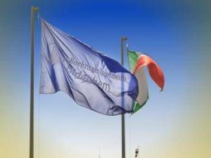 boehringer ingelheim sara frattini alla guida di bidachem spa 2