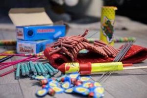 botti di capodanno dagli animali allambiente tutti i danni per la salute 2