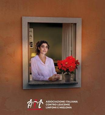 lotta alle leucemie tornano le stelle di natale ail per la ricerca 2