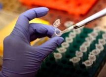 cancro al pancreas lannuncio dalla spagna tumore eliminato nei topi 2