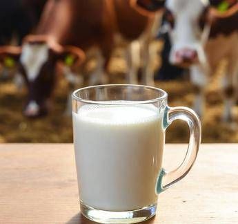 latte crudo la moda riprende quota in usa lallarme dei medici gravi rischi 2