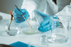 ricerca sclerosi multipla nuove strategie per trattarla potenziando il sistema immunitario 2