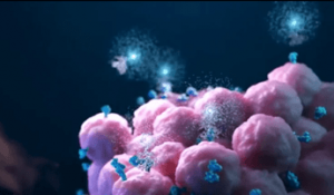 tumori prostata in lombardia e basilicata primi progetti di screening ora regia nazionale 2