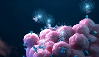 tumori prostata in lombardia e basilicata primi progetti di screening ora regia nazionale 2