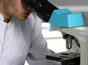 un dna antico di 5 500 anni fa riscrive le origini della sifilide 2