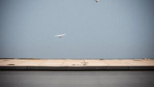 strategie efficaci per conservare i cibi durante i blackout 1769402566