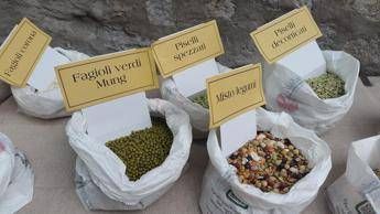 dalle lenticchie alla cicerchia ad ogni legume le sue proprieta 2