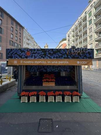 giornata mondiale malattie rare unedicola di fiori per la campagna raremeanscare 2