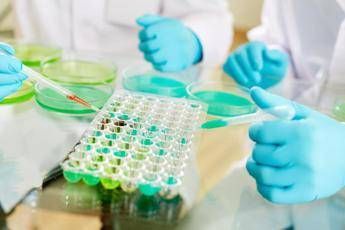 studi no profit nasce lalleanza tra fondazione veronesi e ficog 2