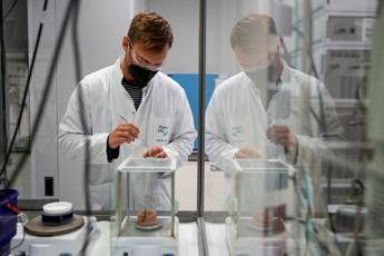 carcinoma polmonare ok ema a lurbinectedina e immunoterapia in prima linea 2