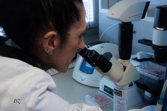 malattie rare scoperta nuova patologia genetica nei bimbi 2