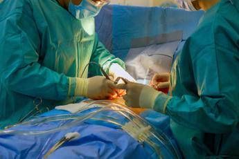 prima mondiale impiantata corda tendinea bioingegnerizzata su modello di cuore animale 2