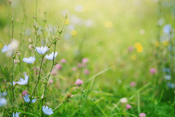 primavera i rischi del primo sole la dermatologa puo anche scottare abituare la pelle in modo progressivo 2