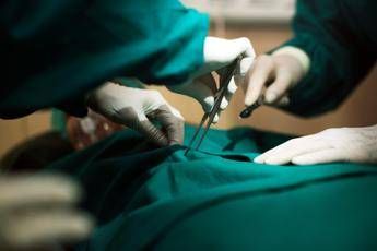 trapianti in italia numeri in crescita 2025 anno migliore di sempre 2