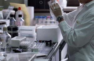 tumore al canale anale via libera in europa a retifanlimab con chemioterapia in prima linea 2