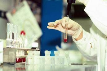 antrace vaiolo e virus zombie lindagine sui rischi nascosti nel ghiaccio da migliaia di anni 2