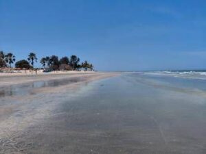 bimbi al mare 164 spiagge scelte dai pediatri ecco le bandiere verdi del 2026 2