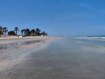 bimbi al mare 164 spiagge scelte dai pediatri ecco le bandiere verdi del 2026 2