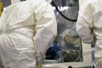 ebola la conferma di un focolaio in congo 246 casi sospetti e 65 morti 2