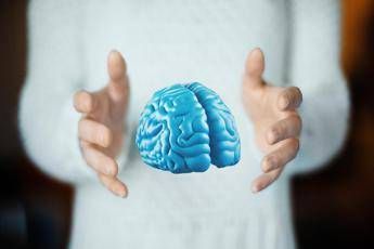 imparare ad essere altruisti cosi il cervello costruisce i comportamenti sociali 2