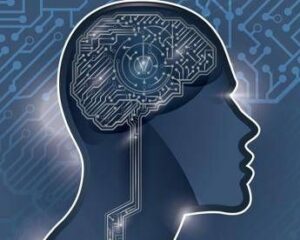 lai fa copia e incolla dal cervello umano cosi impara la strategia della statale di milano 2