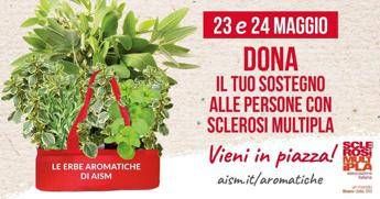 settimana nazionale della sclerosi multipla tornano le erbe aromatiche aism in 500 piazze 2