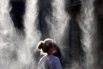 caldo e salute impennata temperature ha effetti su organi vitali e cervello 2