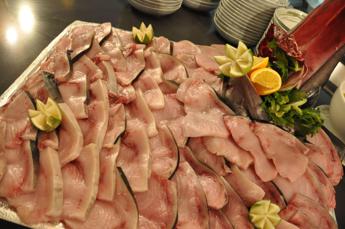 cena di pesce occhio alle tossine marine quali sono cosa si rischia e come difendersi 2