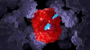 talassemia e anemia falciforme la forbice molecolare funziona anche nei bambini 2